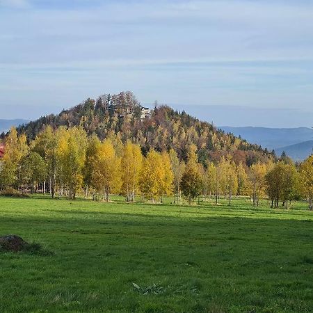 Rezydencja Green Hill - Ekskluzywny Dom W Karpaczu Esterno foto