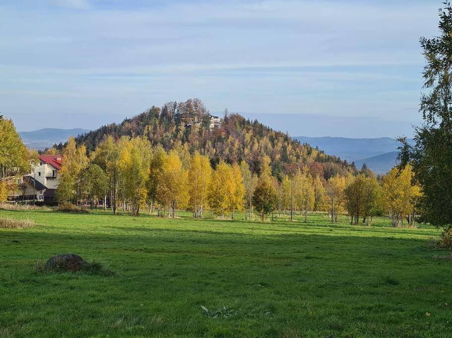 Rezydencja Green Hill - Ekskluzywny Dom W Karpaczu Esterno foto