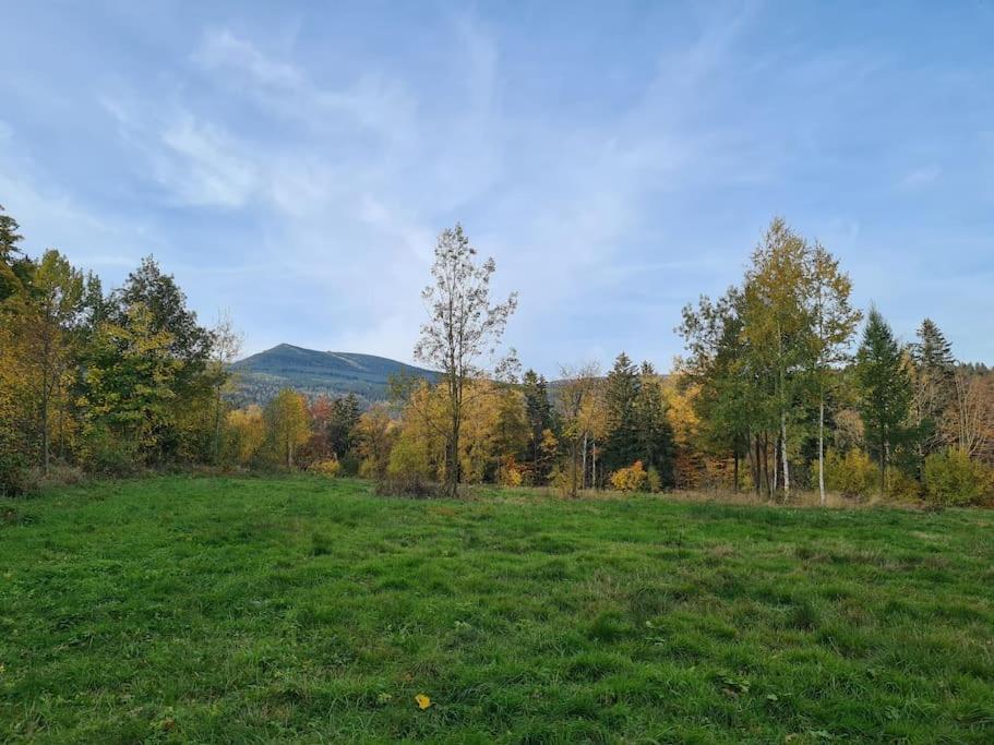 Rezydencja Green Hill - Ekskluzywny Dom W Karpaczu Esterno foto